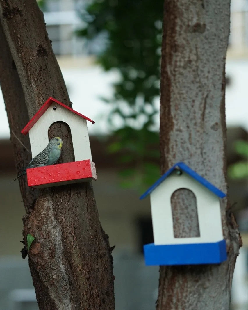 Hanging Bird Seed Feeder