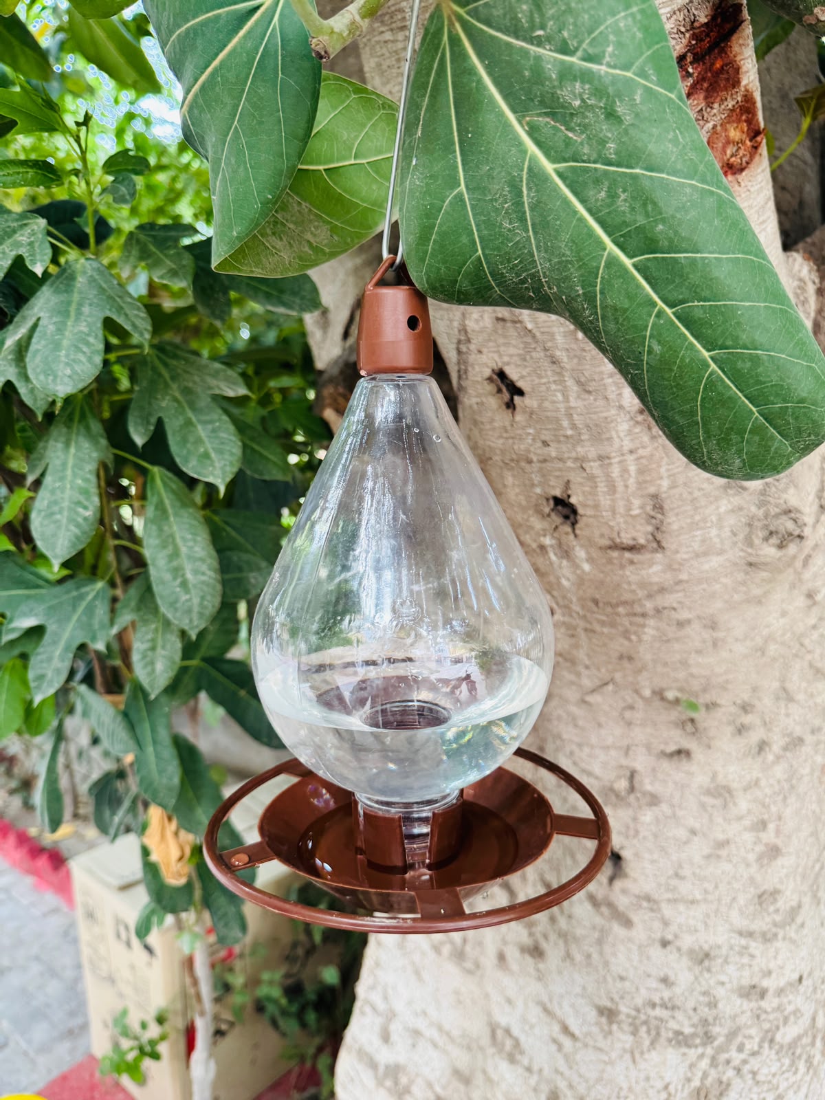 Hanging Water Drinker for Birds