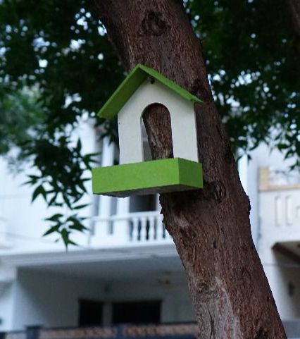 Hanging Bird Seed Feeder