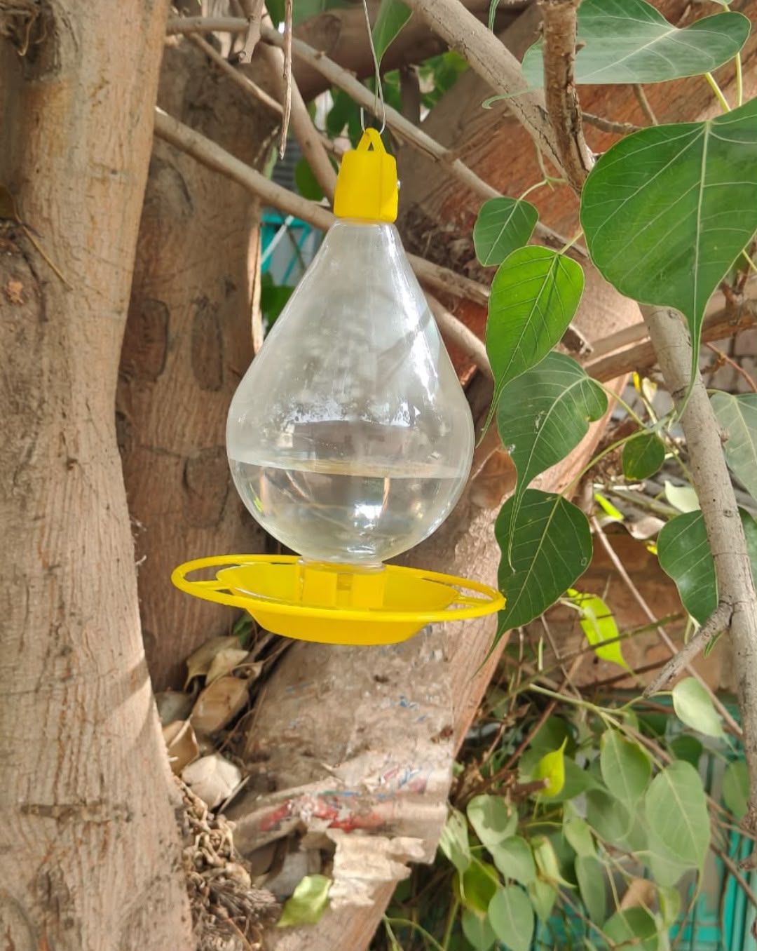 Hanging Water Drinker for Birds