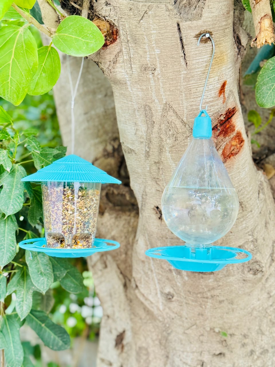 2-in-1 Hanging Bird Feeder & Water Drinker Set
