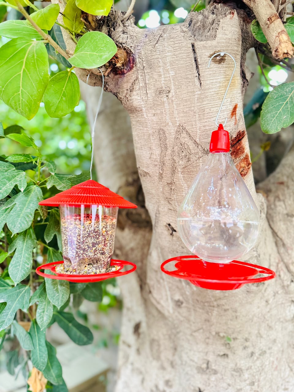 2-in-1 Hanging Bird Feeder & Water Drinker Set