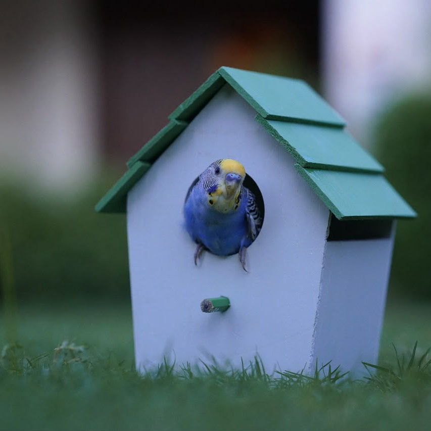 PVC Bird House – Weatherproof Nesting Box for Garden