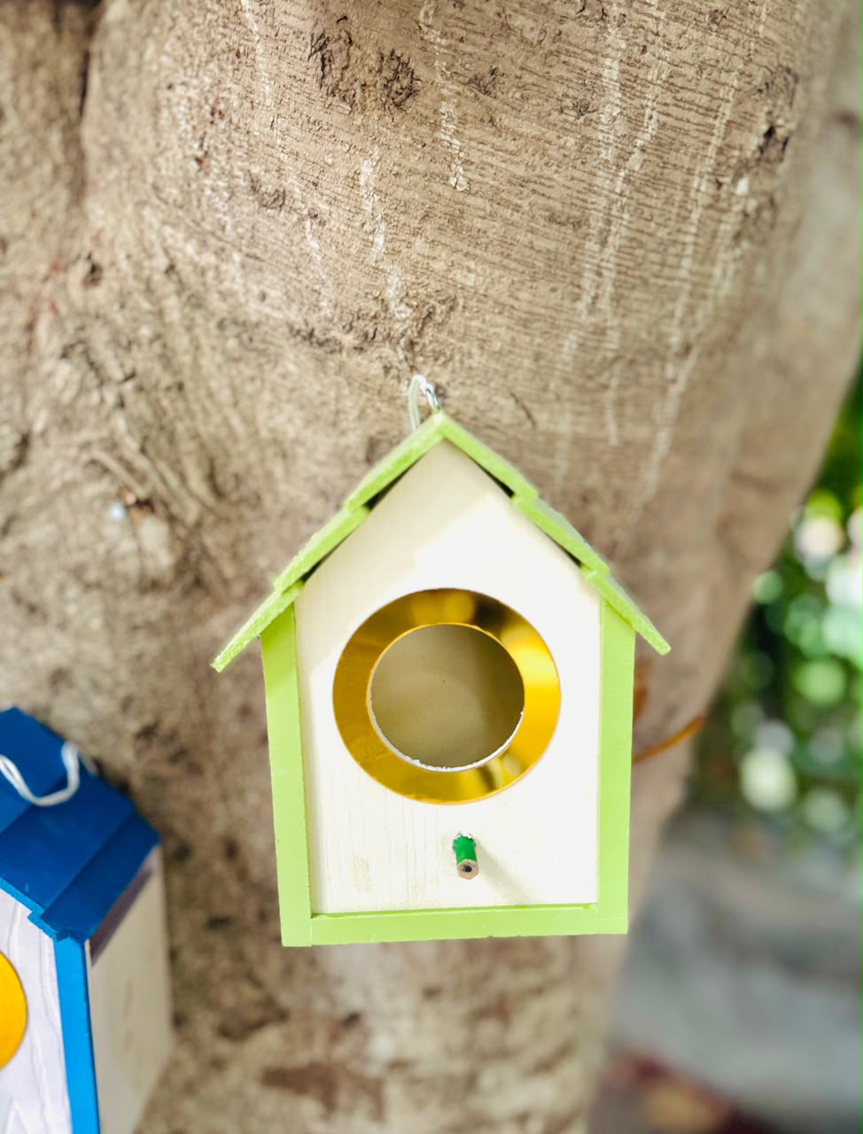 PVC Bird House with Gold Entry Ring