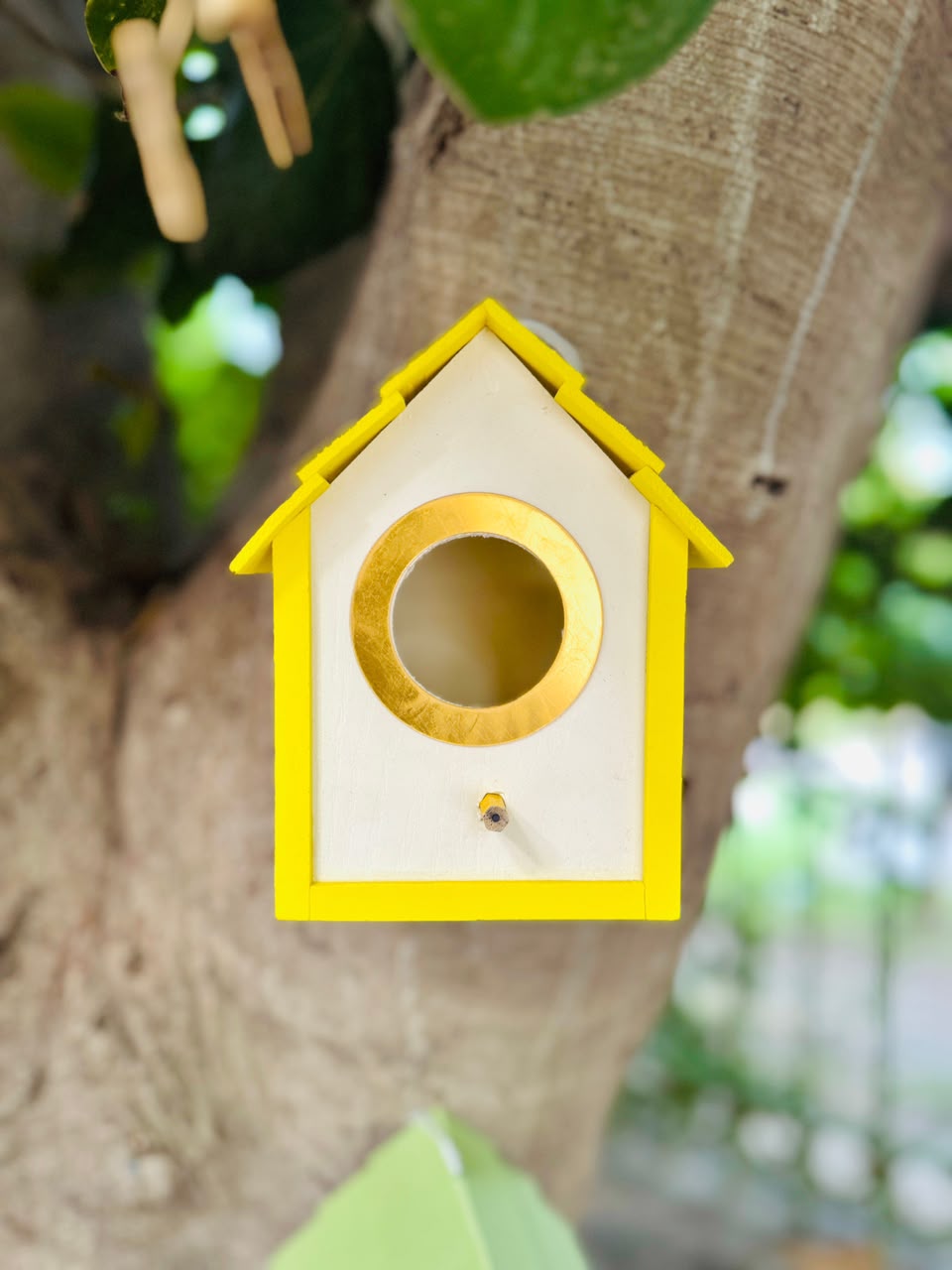 PVC Bird House with Gold Entry Ring