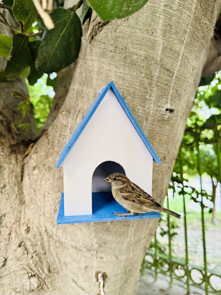 Cozy PVC Hanging Bird House
